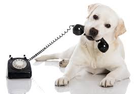 have you heard the news