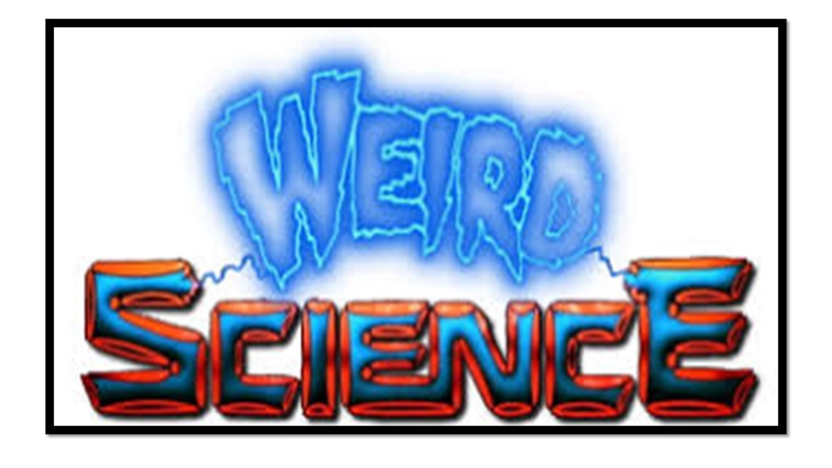 Do You Remember this Movie? part&nbsp;6